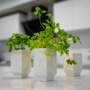 Zelf Water Gevend Planten Pot