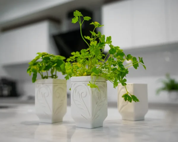 Zelf Water Gevend Planten Pot