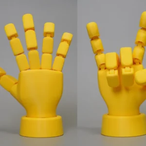 Gearticuleerd Hand