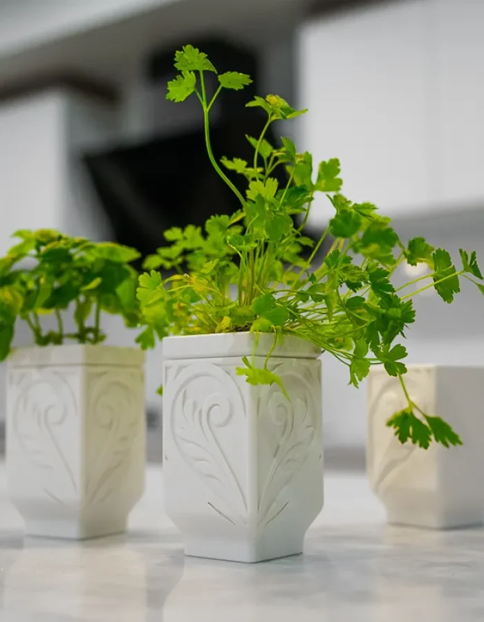 Zelf Water Gevend Planten Pot
